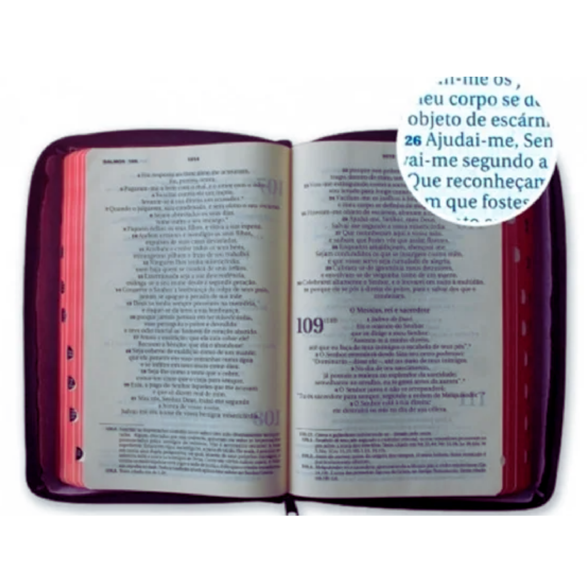 BIBLIA ZIPER - BOLSO - MARROM